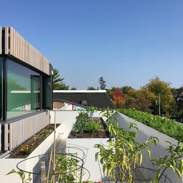 Urban Farm