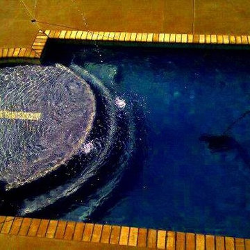 Gunite Swimming Pool
