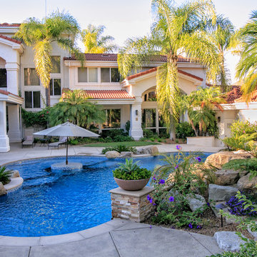 Tropical Oasis