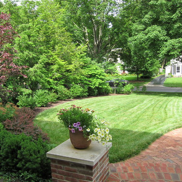Front Yard Make Over