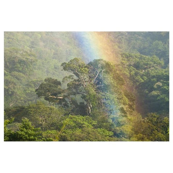 "Rainbow over rainforest canopy, Costa Rica" Print by Steve Gettle, 32"x22"