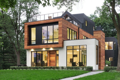 Modern three-story wood exterior home idea in Minneapolis