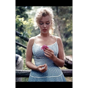 Framed, Marilyn Monroe with Flower, 12"x16"