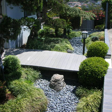 Dry Pond Beds