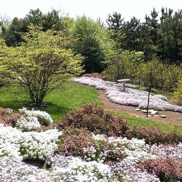 Spring blooming Candytuft & creeping Phlox in estate sized landscaping pictures