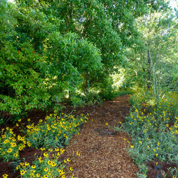 Suburban Lakeside Garden