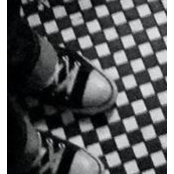 Michael Puzzoさんの写真