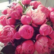 Cote Leighton's photo