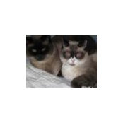 Tammy Shipman's photo