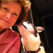 Susan Bonner's photo
