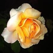 Kerri Rae's photo