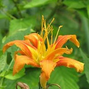 Joanne Hill's photo