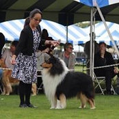 Karyn Convertini's photo