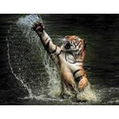 Denise F Clarke's photo