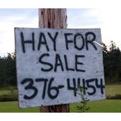 Simon Hay's photo