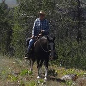 Judy Nelson's photo