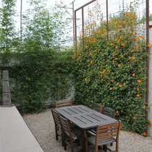 pea trellis ideas