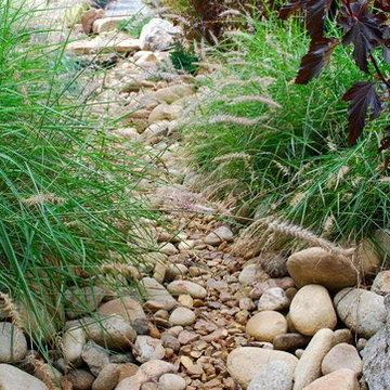 Drainage ditch-turned-meadow garden