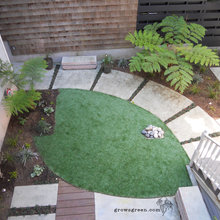Yard Ideas