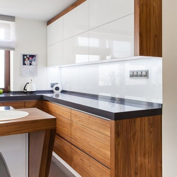 Contemporary Kitchen Design