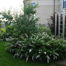 Outdoor Space/Garden