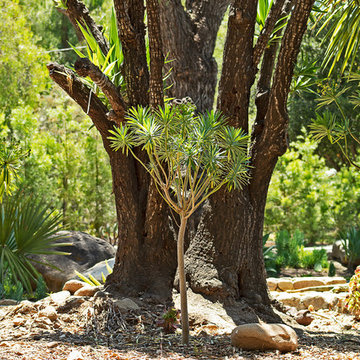 New 1-Year-Old Garden