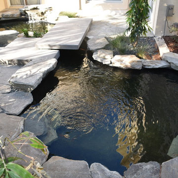 Modern Front Yard Water Garden