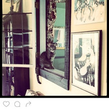 houzzes of past