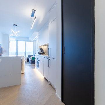 Modern Minimalist Urban Condo