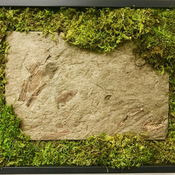 Moss Walls - Products