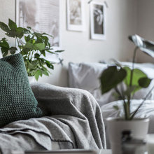 29 Nuances D' Earl Grey