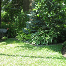 Landscape Ideas