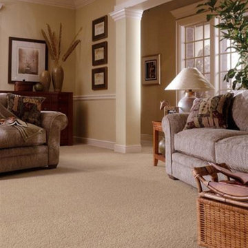 Carpet