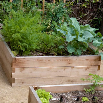 Urban Farms