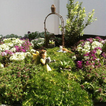 Fairy Gardens, Terrariums & Succulents
