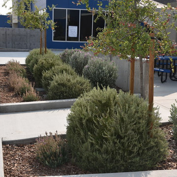 Westlake Charter School