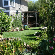 yard