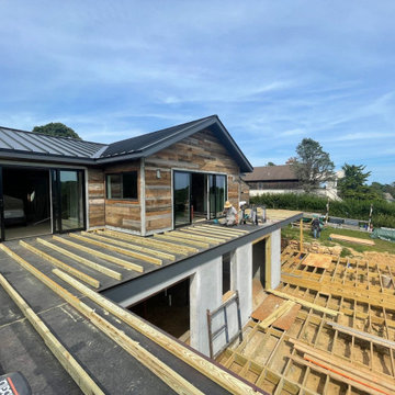RECLAMED BARN BOARD SIDING / IPE DECKING