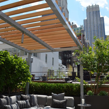 Financial District Penthouse