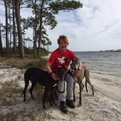 Jo Lowery's photo