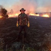 Will Reynolds's photo