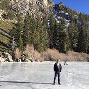 Paul Ellwood's photo