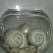 Alma Rama's photo