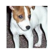 Debra Marvin Berry's photo