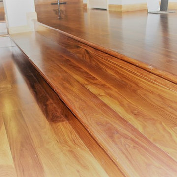 Beautiful Walnut In Colorado