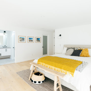 niguel west mid-century modern