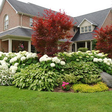 Front Landscape