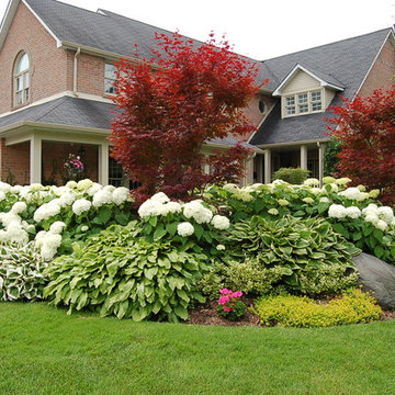 Corner lot design bold and beautiful