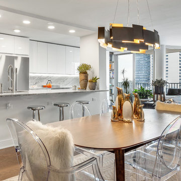 Evanston Condo Dining Room Design