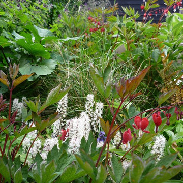 Small Town Garden